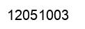 Number 12051003 black image