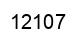 Number 12107 black image