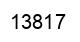 Number 13817 black image