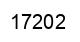 Number 17202 black image