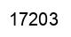 Number 17203 black image