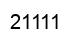 Número 21111 imagen negro