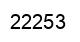 Number 22253 black image