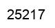 Number 25217 black image