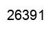 Number 26391 black image