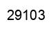 Number 29103 black image
