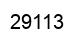 Number 29113 black image