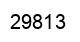 Number 29813 black image