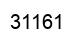 Number 31161 black image