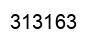 Number 313163 black image