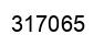 Number 317065 black image