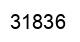Number 31836 black image
