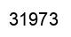 Number 31973 black image