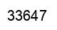 Número 33647 imagen negro