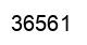 Number 36561 black image