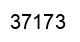 Number 37173 black image