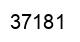 Number 37181 black image