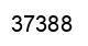 Number 37388 black image