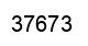 Number 37673 black image