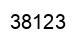Number 38123 black image