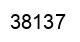 Number 38137 black image
