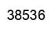 Number 38536 black image
