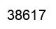 Number 38617 black image