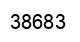 Número 38683 imagen negro