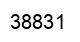 Number 38831 black image