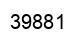 Number 39881 black image
