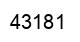 Number 43181 black image