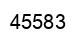 Number 45583 black image