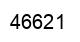 Number 46621 black image