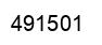 Number 491501 black image