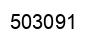 Number 503091 black image