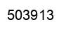 Number 503913 black image