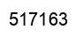 Number 517163 black image