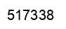 Number 517338 black image