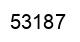Number 53187 black image