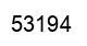 Number 53194 black image