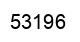 Number 53196 black image