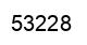 Number 53228 black image