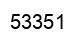 Number 53351 black image