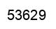 Number 53629 black image