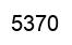 Number 5370 black image