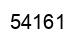 Number 54161 black image