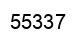 Number 55337 black image