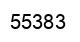 Number 55383 black image