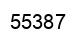Number 55387 black image