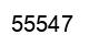 Number 55547 black image